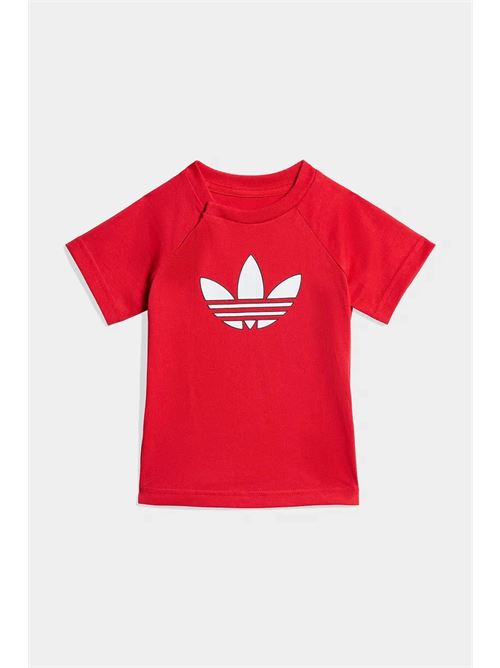 tf sts ADIDAS ORIGINAL | KD1035X